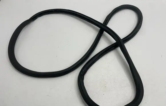 Opel Insignia B Front door rubber seal