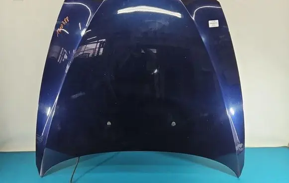 Engine bonnet/hood