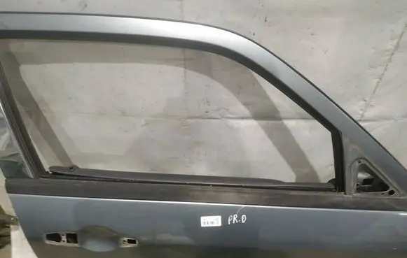 Dodge Magnum Front door glass trim molding 