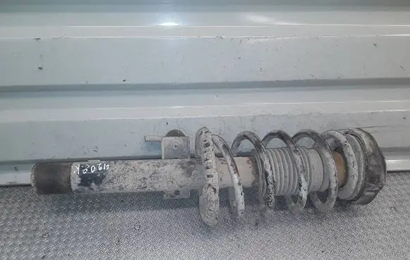Skoda Roomster (5J) Front shock absorber with coil spring 