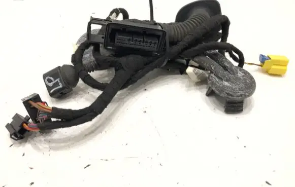 Audi Q5 SQ5 Front door wiring loom 8R0971029K