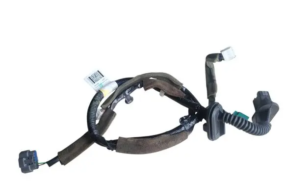 Rear door wiring loom