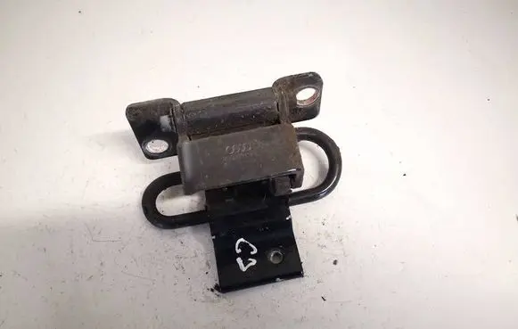 Rear door lower hinge
