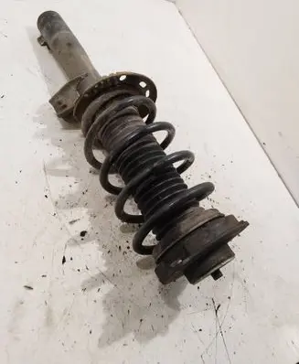 Volkswagen PASSAT B6 Front shock absorber with coil spring 824904002054