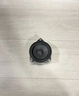 Panel speaker