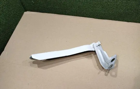 Renault Master III Engine bonnet/hood hinges 654010006R