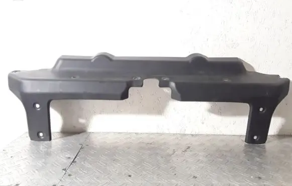 Engine bonnet/hood lock trim molding