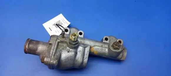 Thermostat/thermostat housing