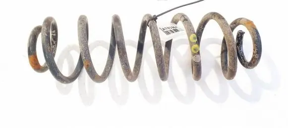 Rear coil spring