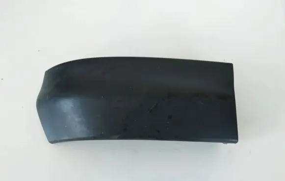 Rear/tail light trim molding