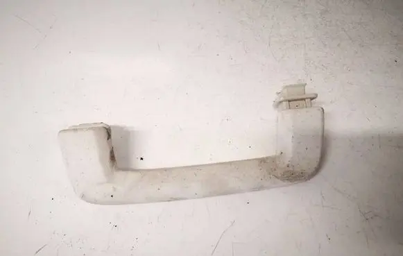 Ford Focus Front interior roof grab handle