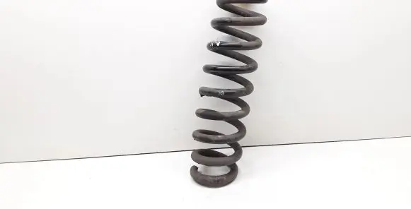 BMW X1 E84 Rear coil spring