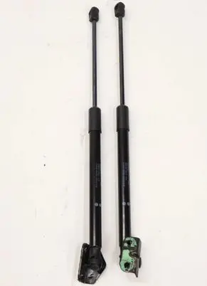 Tailgate strut