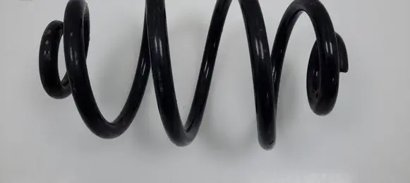 Rear coil spring
