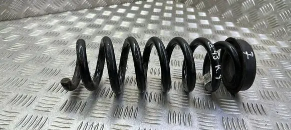 Rear coil spring