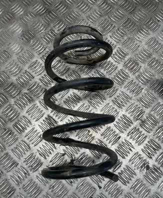 Rear coil spring