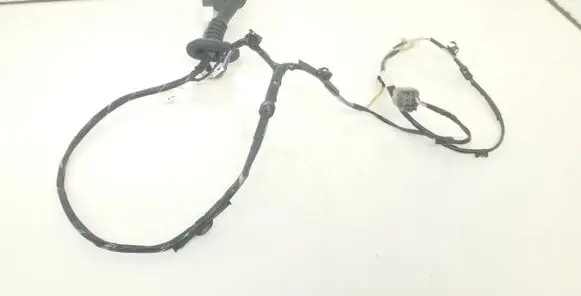 Rear door wiring loom