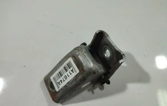 Peugeot Expert Rear door lower hinge 