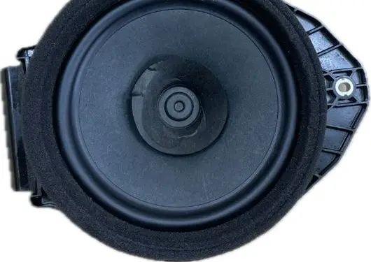 Buick Enclave II Rear door speaker 84249496