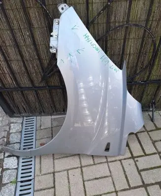 Hyundai H-1, Starex, Satellite Fender