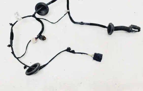 KIA Sportage Rear door wiring loom 91650F1010