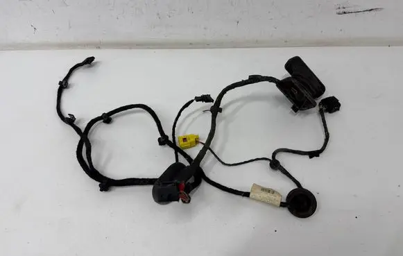 Volkswagen PASSAT B6 Front door wiring loom 3C1971120AJ TAB016297AQ