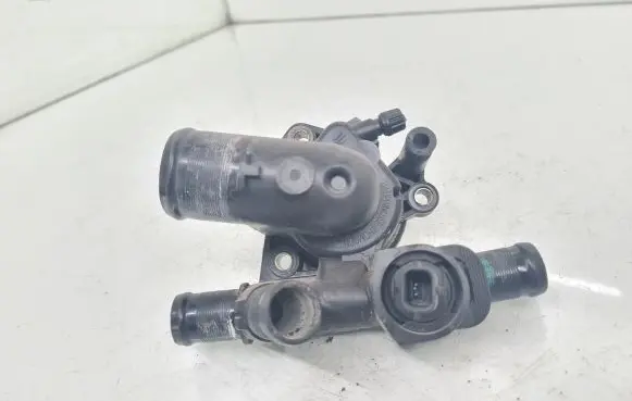 Thermostat/thermostat housing