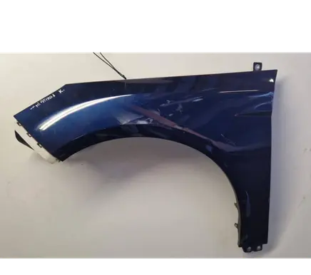 Ford Focus Fender
