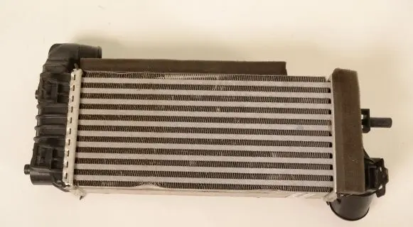 Ford C-MAX II Intercooler radiator BV619L440CK