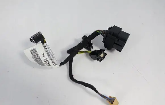 Other wiring loom