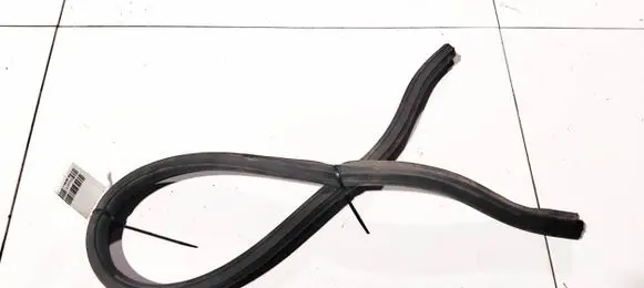 Citroen C3 Rubber seal front coupe door 