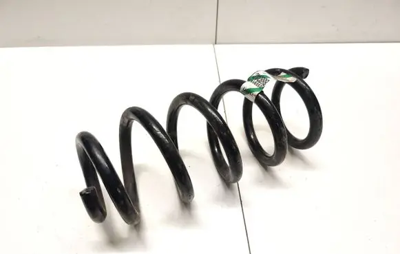 Front coil spring