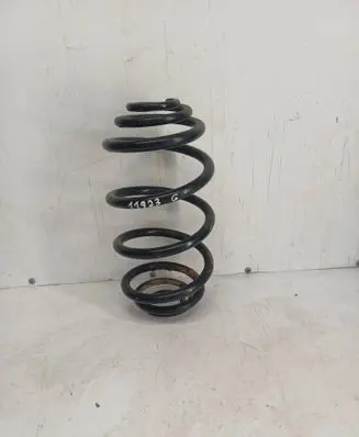 Rear coil spring