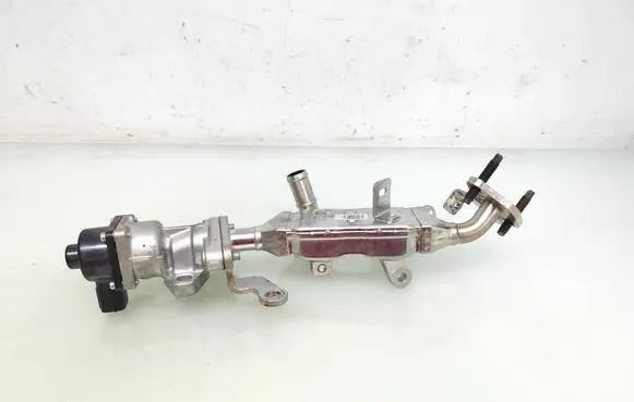 Renault Captur II EGR valve cooler 147354PM1A BC06321003 100369524