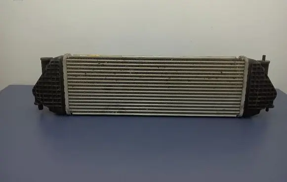 Suzuki Grand Vitara II Intercooler radiator 2022199