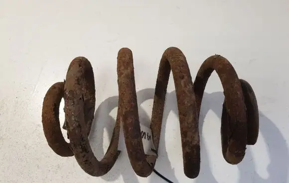 Rear coil spring