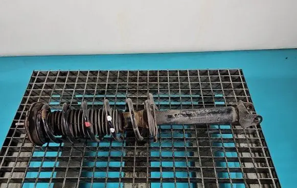 Rear shock absorber/damper