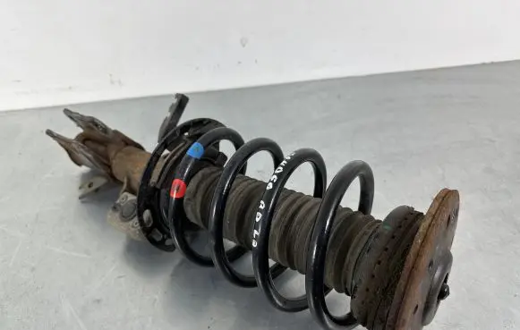 Ford Mondeo MK V Front shock absorber with coil spring DG9C18045