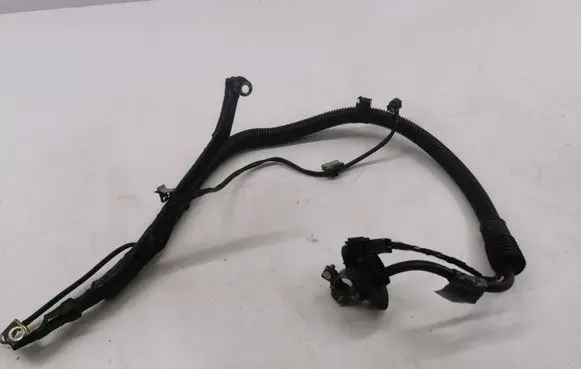Mercedes-Benz B W245 Negative earth cable (battery) A1695400209