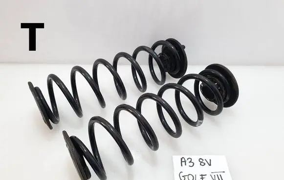 Rear coil spring