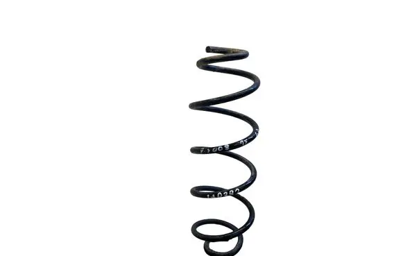 Rear coil spring
