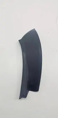Rear/tail light trim molding