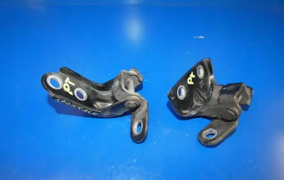 KIA Sportage Rear door hinge set 