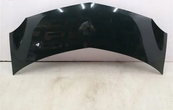 Renault Modus Engine bonnet/hood