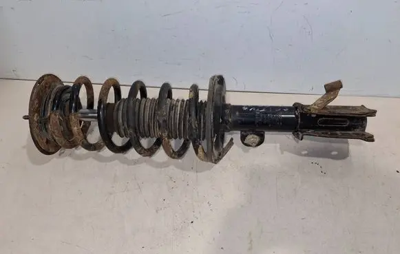 Chevrolet Captiva Front shock absorber/damper TS3034 MSS016268 2H05