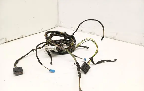 BMW 3 F30 F35 F31 Front door wiring loom 19344411 9260012 E39201
