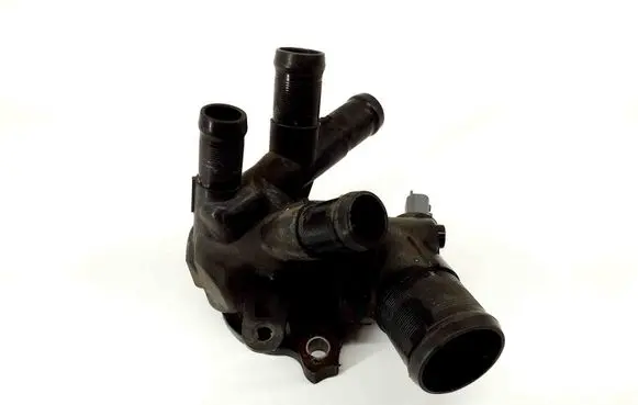 Nissan Qashqai Thermostat 110617089R