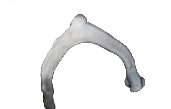 BMW X5 E70 Front upper control arm/wishbone 