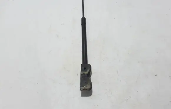 Renault Scenic IV - Grand scenic IV Tailgate strut 904509745R