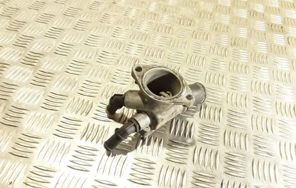 Thermostat/thermostat housing